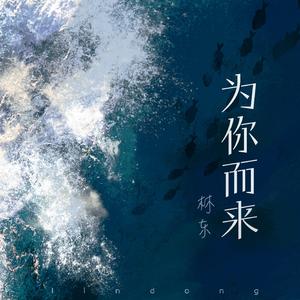 青春禁区视频在线观看
